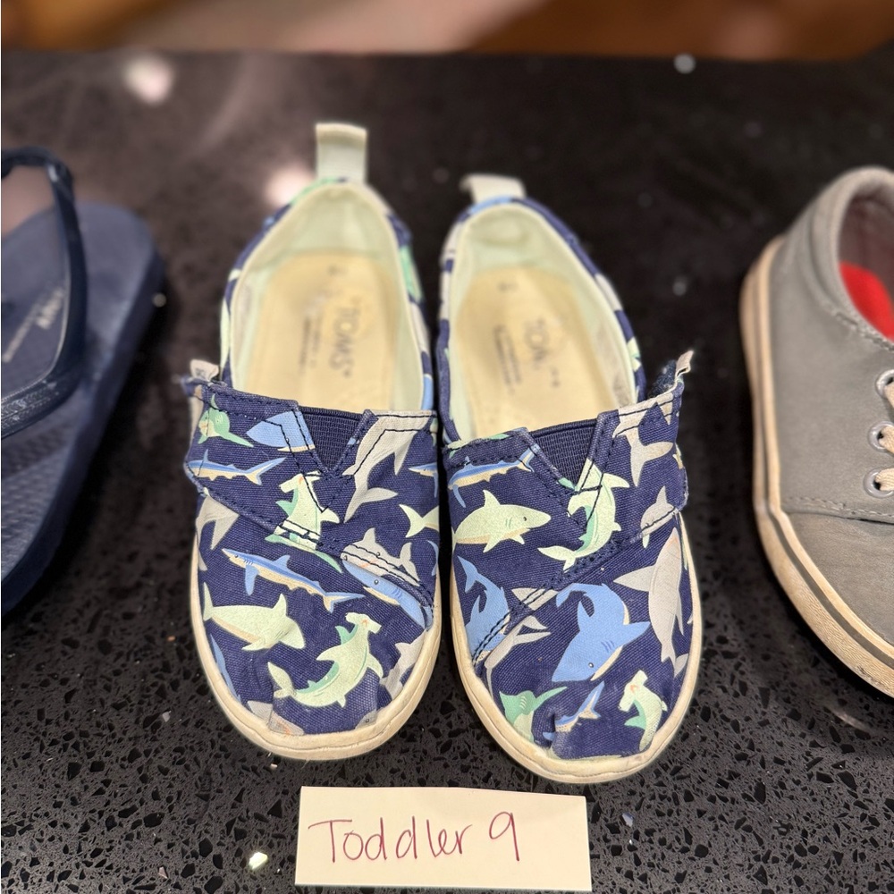 Toms Shark Print Kids Sneakers - Blue and Green